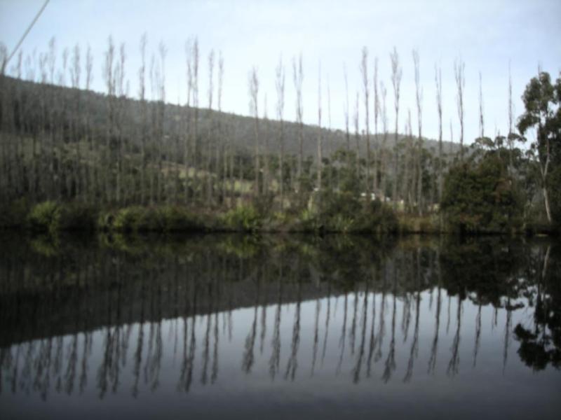 Port Huon Cottages Екстер'єр фото